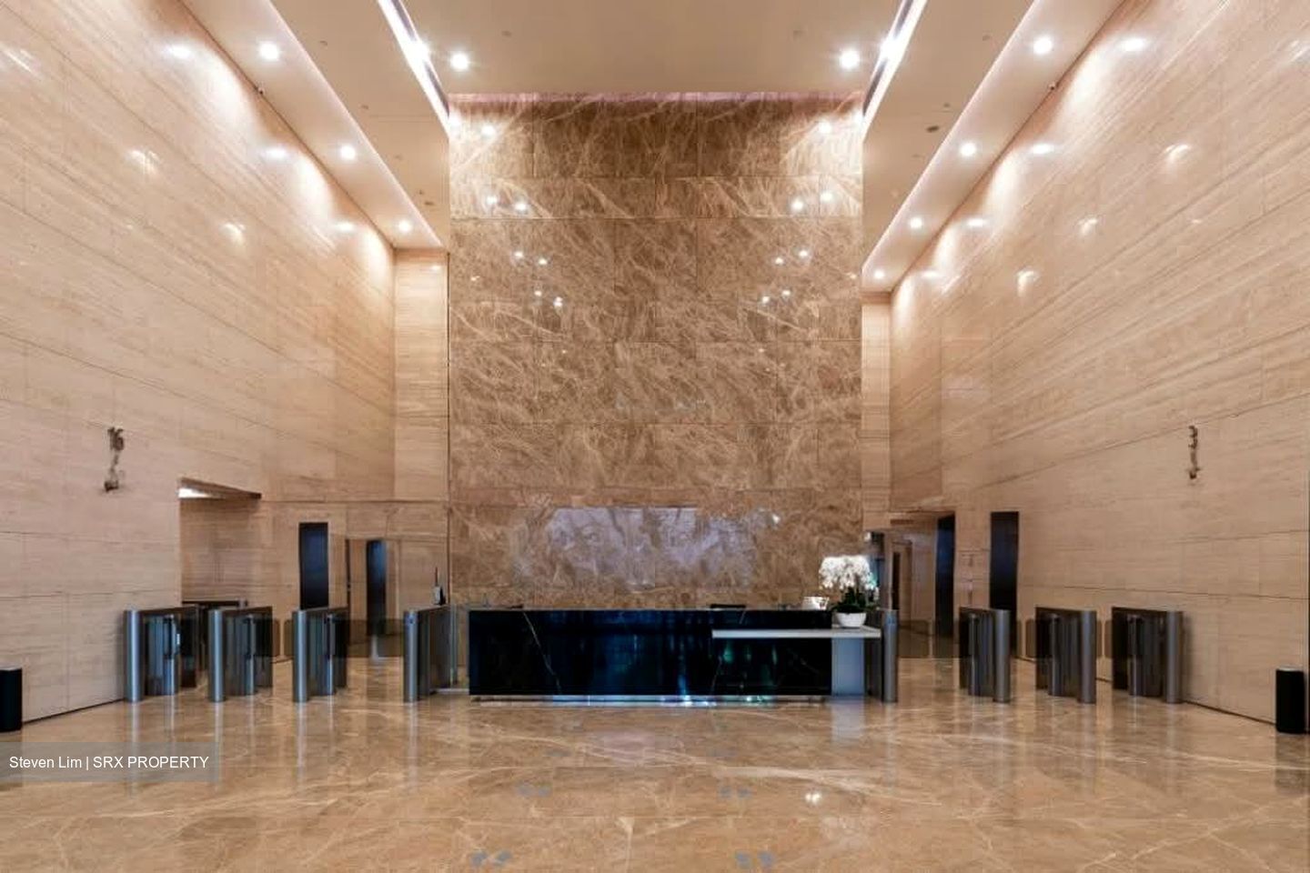 PLUS (D1), Office #561225361